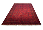 Kunduz Bicolor Carpet 308 x 208 cm